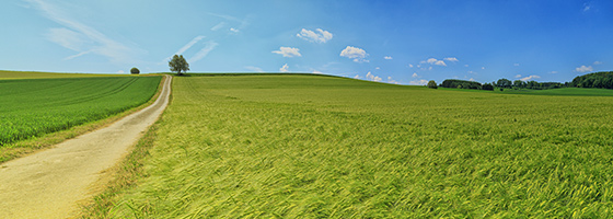 公海贵宾会5500iii(中国)有限公司官网