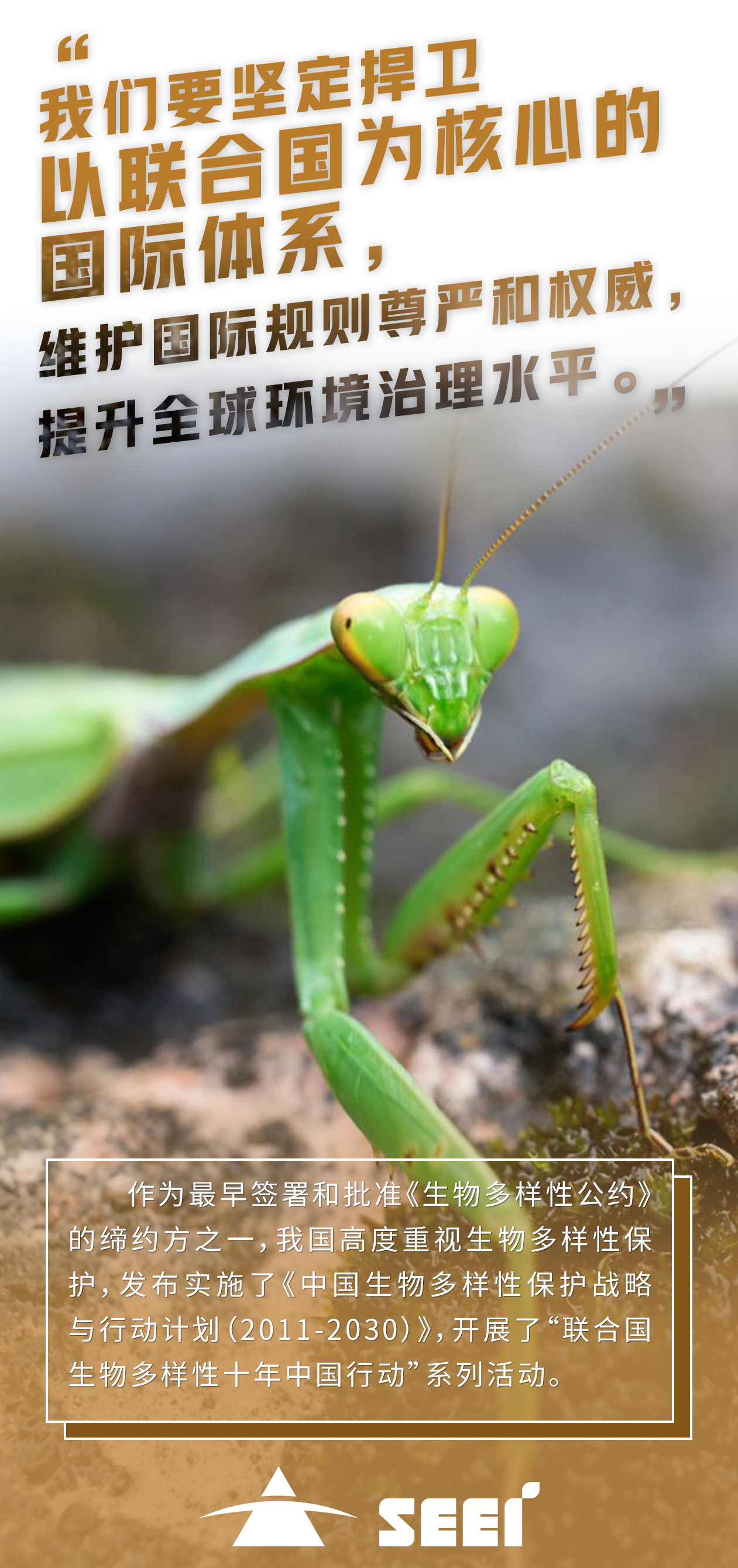 6四川公海贵宾会5500环保集团-陈奕阳