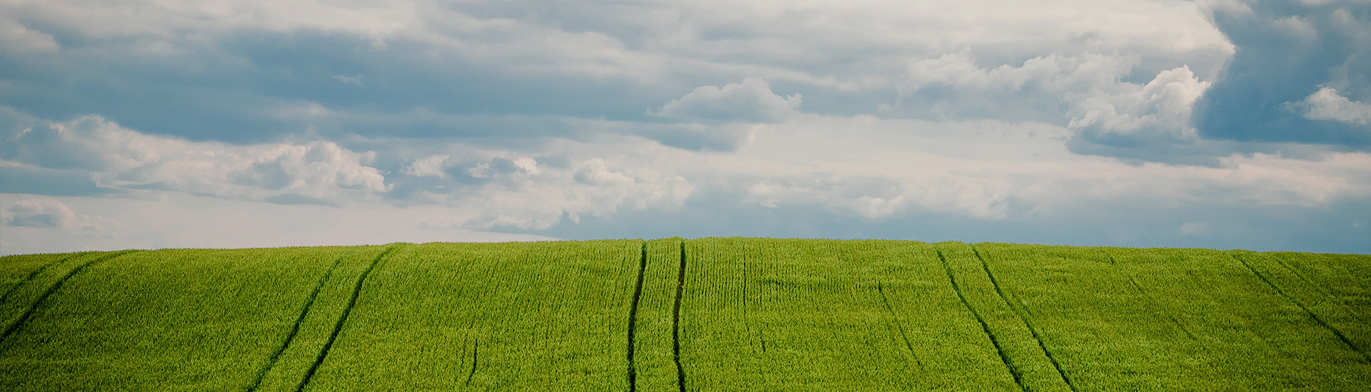 公海贵宾会5500iii(中国)有限公司官网